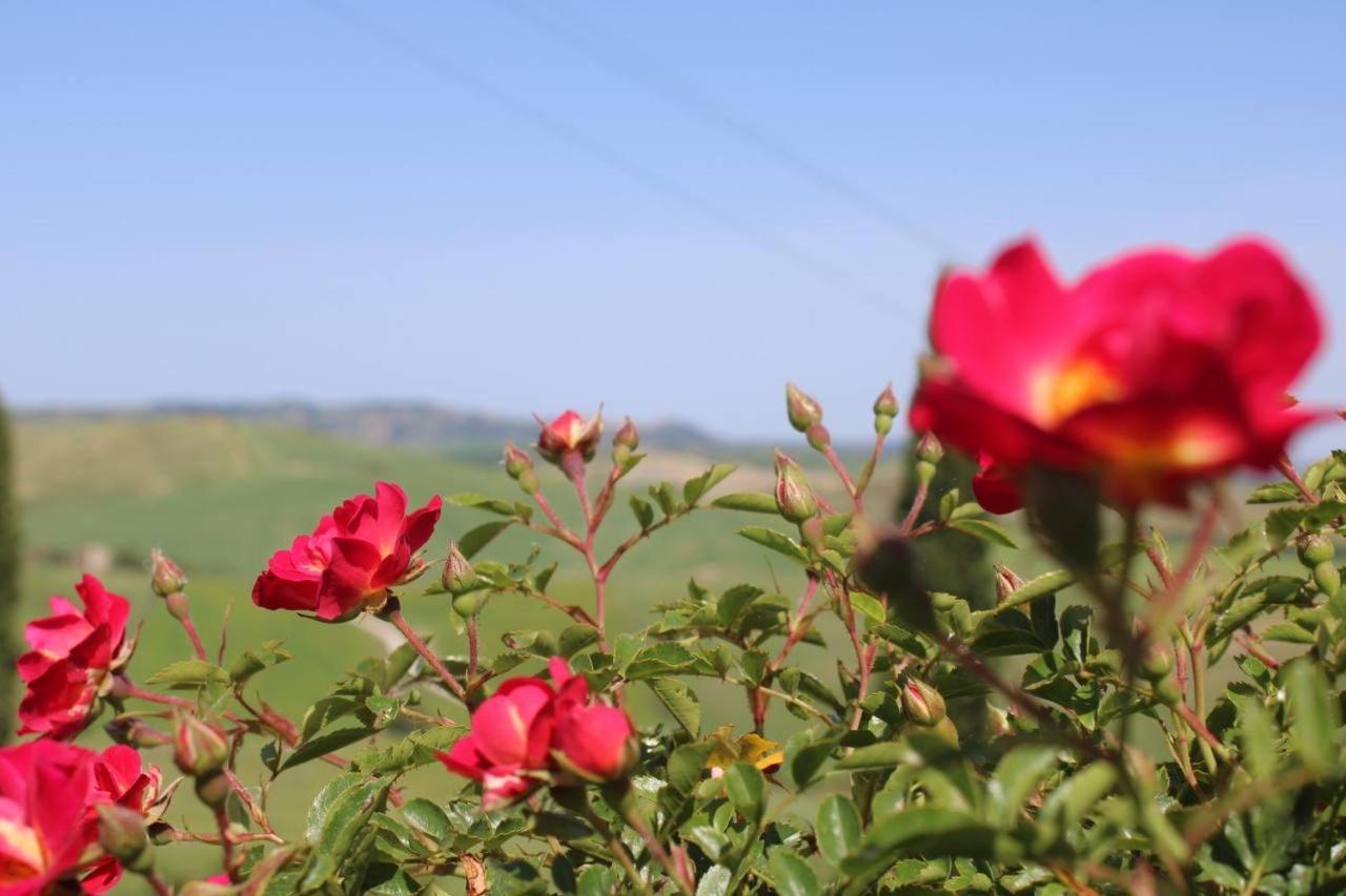 Vila Agriturismo La Paciarella Campiglia dʼOrcia Exteriér fotografie
